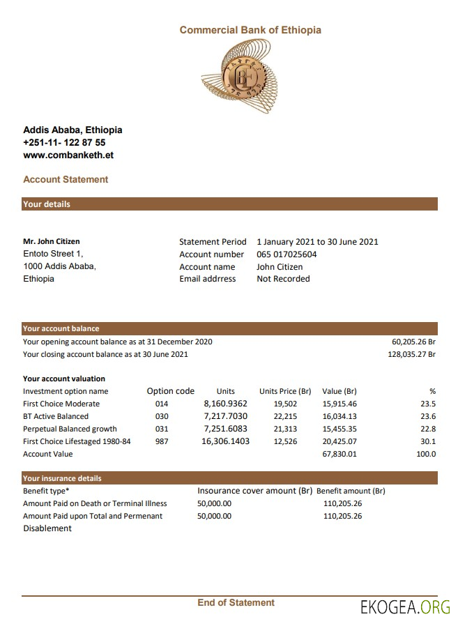 Modèle de relevé de la Banque Commerciale d'Ethiopie facile à remplir au format Excel et PDF
